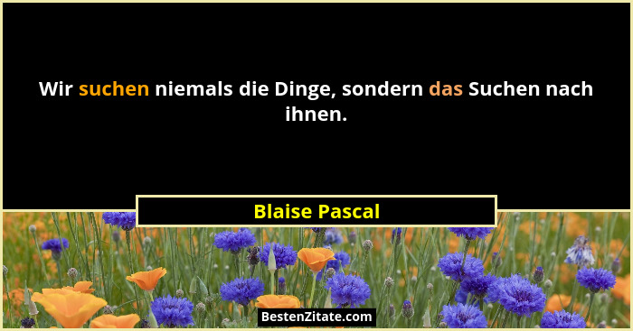 Wir suchen niemals die Dinge, sondern das Suchen nach ihnen.... - Blaise Pascal