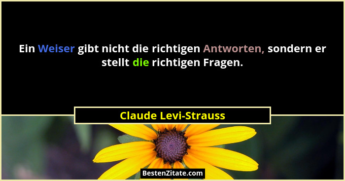 Ein Weiser gibt nicht die richtigen Antworten, sondern er stellt die richtigen Fragen.... - Claude Levi-Strauss