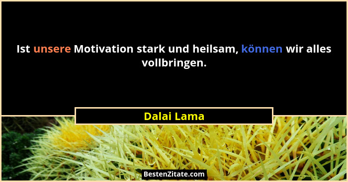 Ist unsere Motivation stark und heilsam, können wir alles vollbringen.... - Dalai Lama
