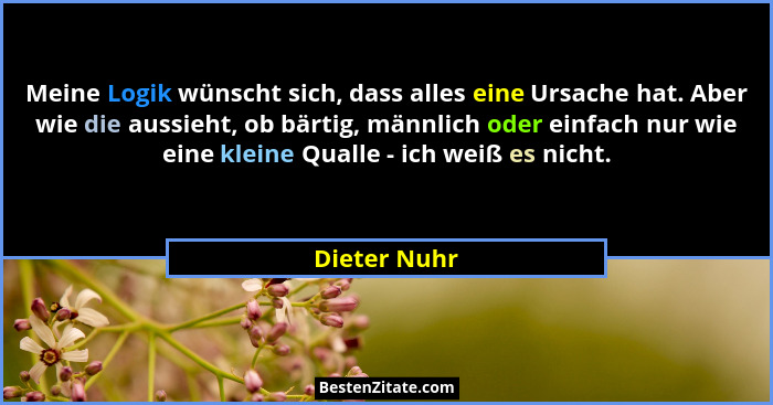 Meine Logik wünscht sich, dass alles eine Ursache hat. Aber wie die aussieht, ob bärtig, männlich oder einfach nur wie eine kleine Quall... - Dieter Nuhr