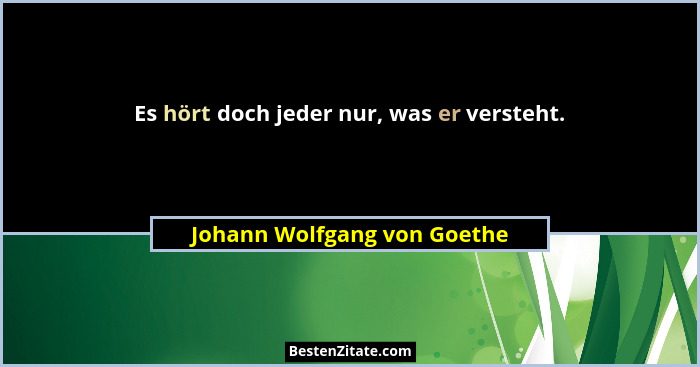 Es hört doch jeder nur, was er versteht.... - Johann Wolfgang von Goethe