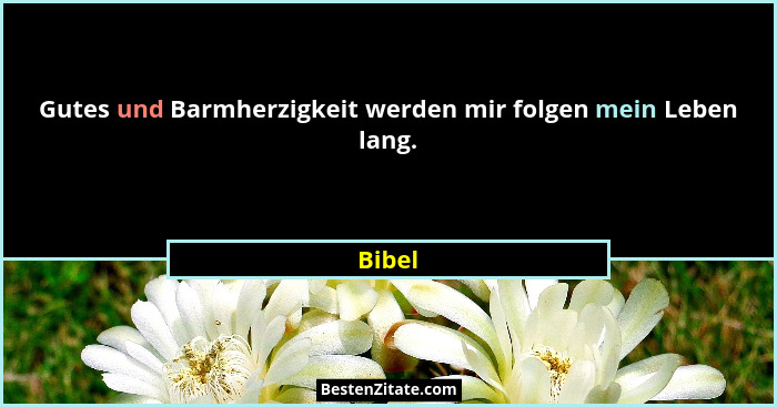 Gutes und Barmherzigkeit werden mir folgen mein Leben lang.... - Bibel