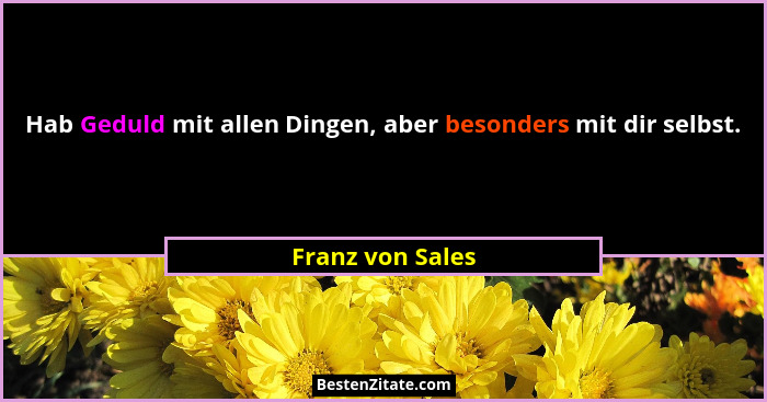 Hab Geduld mit allen Dingen, aber besonders mit dir selbst.... - Franz von Sales