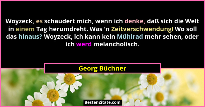Woyzeck, es schaudert mich, wenn ich denke, daß sich die Welt in einem Tag herumdreht. Was 'n Zeitverschwendung! Wo soll das hinau... - Georg Büchner