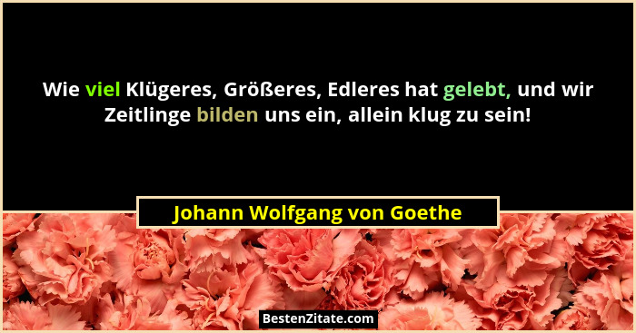 Wie viel Klügeres, Größeres, Edleres hat gelebt, und wir Zeitlinge bilden uns ein, allein klug zu sein!... - Johann Wolfgang von Goethe