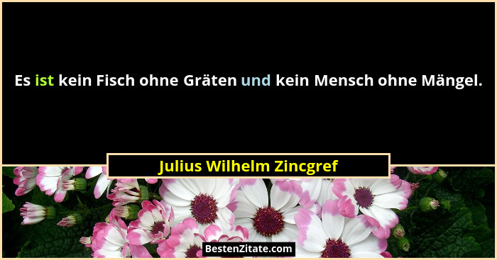 Es ist kein Fisch ohne Gräten und kein Mensch ohne Mängel.... - Julius Wilhelm Zincgref