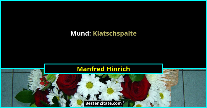 Mund: Klatschspalte... - Manfred Hinrich