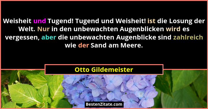 Weisheit und Tugend! Tugend und Weisheit! ist die Losung der Welt. Nur in den unbewachten Augenblicken wird es vergessen, aber die... - Otto Gildemeister
