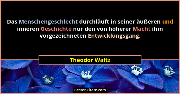 Das Menschengeschlecht durchläuft in seiner äußeren und inneren Geschichte nur den von höherer Macht ihm vorgezeichneten Entwicklungsg... - Theodor Waitz