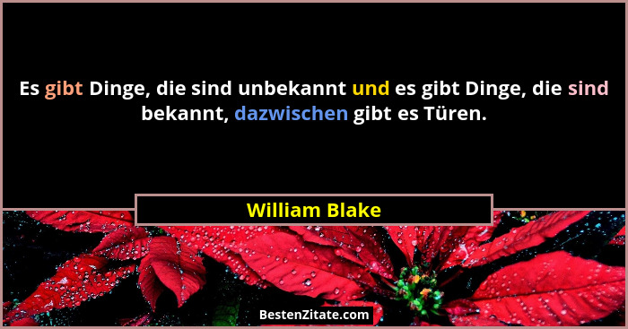 Es gibt Dinge, die sind unbekannt und es gibt Dinge, die sind bekannt, dazwischen gibt es Türen.... - William Blake