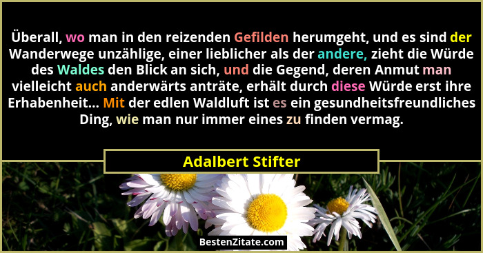 Überall, wo man in den reizenden Gefilden herumgeht, und es sind der Wanderwege unzählige, einer lieblicher als der andere, zieht d... - Adalbert Stifter