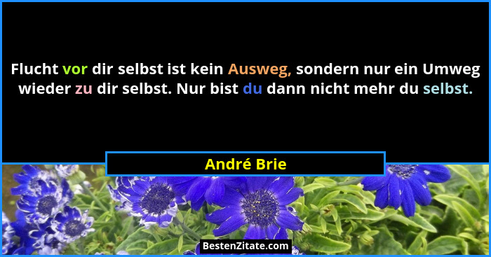 Flucht vor dir selbst ist kein Ausweg, sondern nur ein Umweg wieder zu dir selbst. Nur bist du dann nicht mehr du selbst.... - André Brie