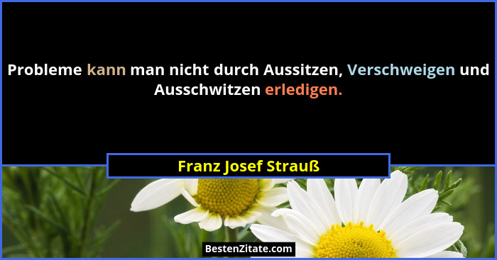 Probleme kann man nicht durch Aussitzen, Verschweigen und Ausschwitzen erledigen.... - Franz Josef Strauß