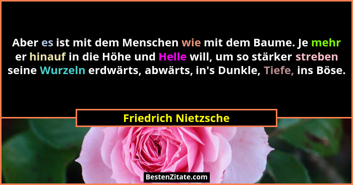 Aber es ist mit dem Menschen wie mit dem Baume. Je mehr er hinauf in die Höhe und Helle will, um so stärker streben seine Wurzel... - Friedrich Nietzsche