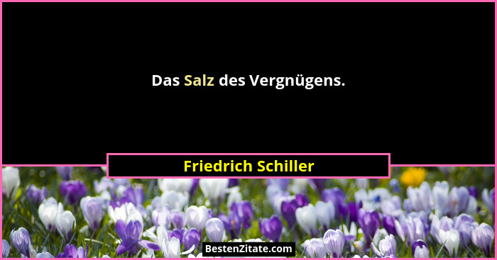Das Salz des Vergnügens.... - Friedrich Schiller