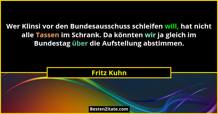 Wer Klinsi vor den Bundesausschuss schleifen will, hat nicht alle Tassen im Schrank. Da könnten wir ja gleich im Bundestag über die Aufst... - Fritz Kuhn
