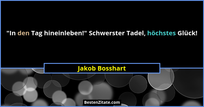 "In den Tag hineinleben!" Schwerster Tadel, höchstes Glück!... - Jakob Bosshart