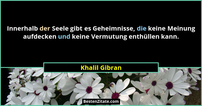 Innerhalb der Seele gibt es Geheimnisse, die keine Meinung aufdecken und keine Vermutung enthüllen kann.... - Khalil Gibran