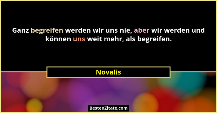 Ganz begreifen werden wir uns nie, aber wir werden und können uns weit mehr, als begreifen.... - Novalis