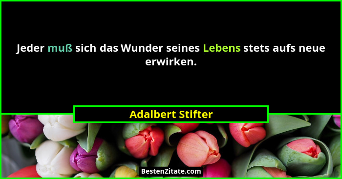 Jeder muß sich das Wunder seines Lebens stets aufs neue erwirken.... - Adalbert Stifter