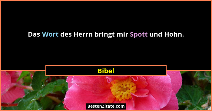 Das Wort des Herrn bringt mir Spott und Hohn.... - Bibel