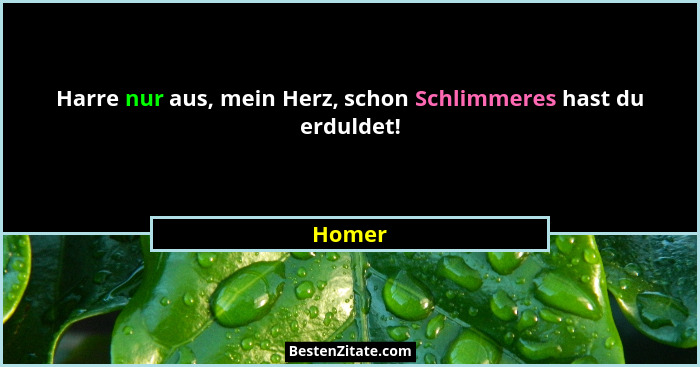 Harre nur aus, mein Herz, schon Schlimmeres hast du erduldet!... - Homer