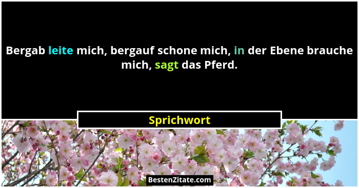 Bergab leite mich, bergauf schone mich, in der Ebene brauche mich, sagt das Pferd.... - Sprichwort