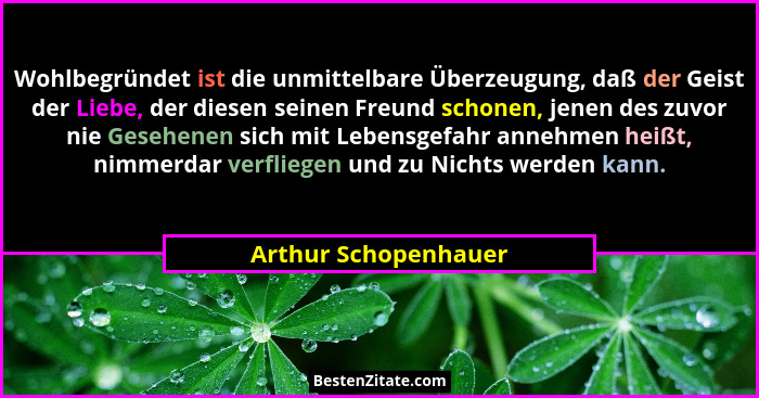 Wohlbegründet ist die unmittelbare Überzeugung, daß der Geist der Liebe, der diesen seinen Freund schonen, jenen des zuvor nie G... - Arthur Schopenhauer
