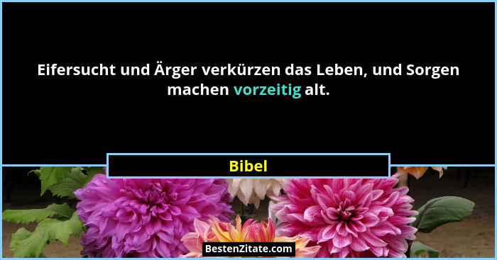 Eifersucht und Ärger verkürzen das Leben, und Sorgen machen vorzeitig alt.... - Bibel