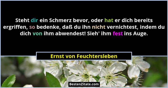Steht dir ein Schmerz bevor, oder hat er dich bereits ergriffen, so bedenke, daß du ihn nicht vernichtest, indem du dich vo... - Ernst von Feuchtersleben