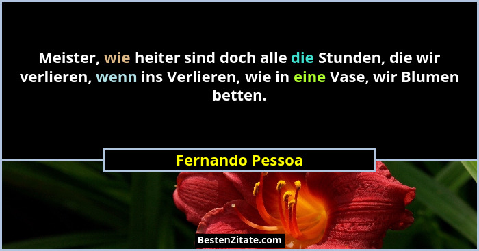 Meister, wie heiter sind doch alle die Stunden, die wir verlieren, wenn ins Verlieren, wie in eine Vase, wir Blumen betten.... - Fernando Pessoa