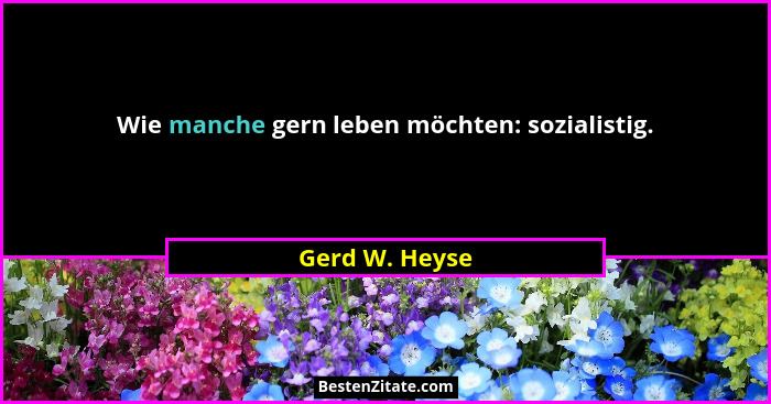 Wie manche gern leben möchten: sozialistig.... - Gerd W. Heyse