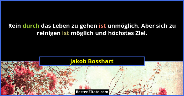 Rein durch das Leben zu gehen ist unmöglich. Aber sich zu reinigen ist möglich und höchstes Ziel.... - Jakob Bosshart