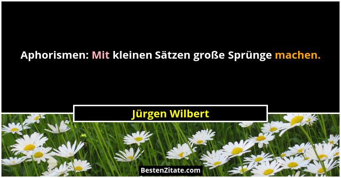 Aphorismen: Mit kleinen Sätzen große Sprünge machen.... - Jürgen Wilbert