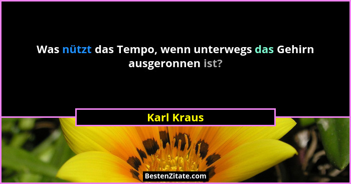 Was nützt das Tempo, wenn unterwegs das Gehirn ausgeronnen ist?... - Karl Kraus
