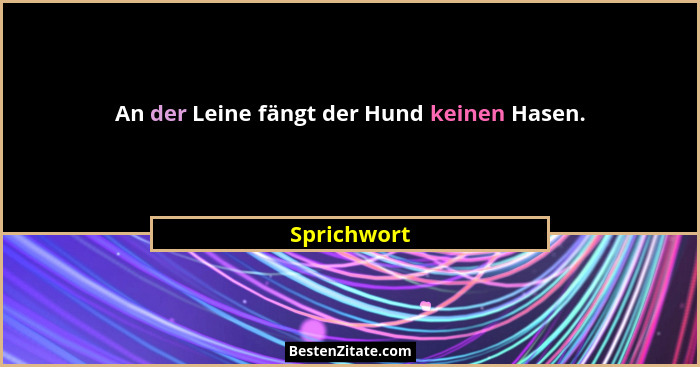 An der Leine fängt der Hund keinen Hasen.... - Sprichwort