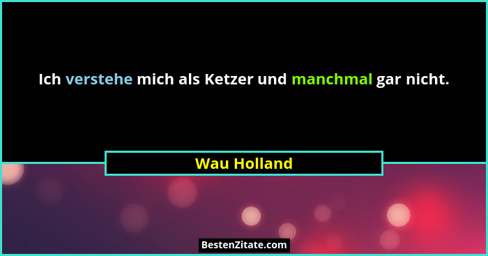 Ich verstehe mich als Ketzer und manchmal gar nicht.... - Wau Holland