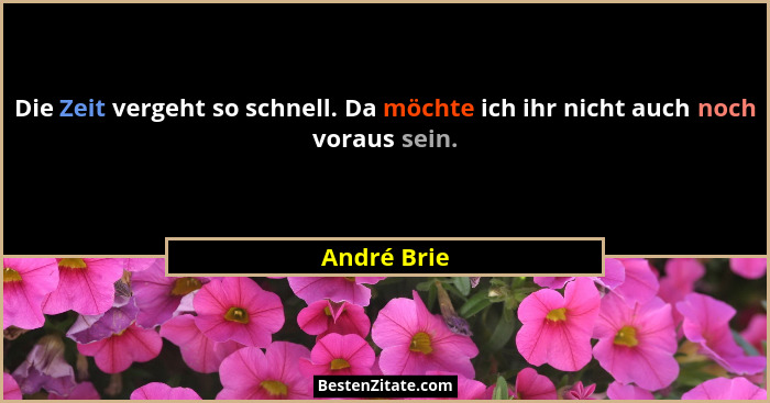 Die Zeit vergeht so schnell. Da möchte ich ihr nicht auch noch voraus sein.... - André Brie