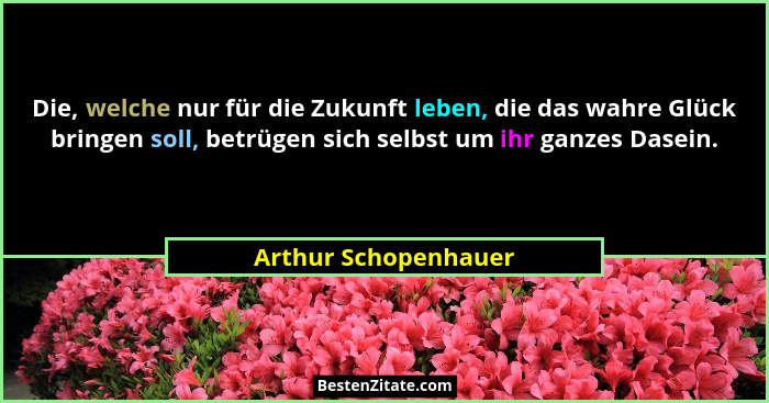 Die, welche nur für die Zukunft leben, die das wahre Glück bringen soll, betrügen sich selbst um ihr ganzes Dasein.... - Arthur Schopenhauer