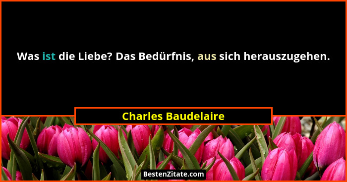 Was ist die Liebe? Das Bedürfnis, aus sich herauszugehen.... - Charles Baudelaire