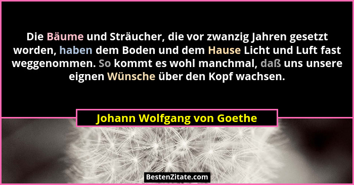Die Bäume und Sträucher, die vor zwanzig Jahren gesetzt worden, haben dem Boden und dem Hause Licht und Luft fast weggeno... - Johann Wolfgang von Goethe
