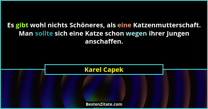 Es gibt wohl nichts Schöneres, als eine Katzenmutterschaft. Man sollte sich eine Katze schon wegen ihrer Jungen anschaffen.... - Karel Capek
