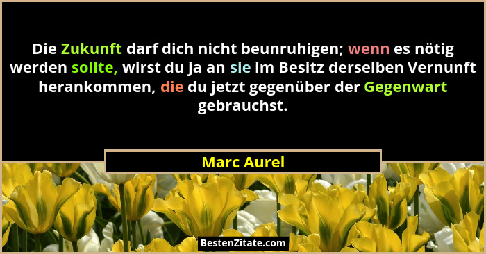Die Zukunft darf dich nicht beunruhigen; wenn es nötig werden sollte, wirst du ja an sie im Besitz derselben Vernunft herankommen, die du... - Marc Aurel