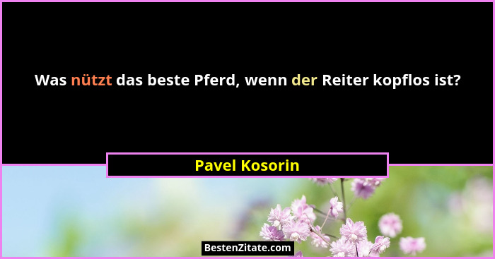 Was nützt das beste Pferd, wenn der Reiter kopflos ist?... - Pavel Kosorin