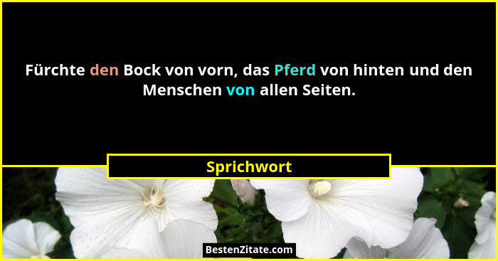 Fürchte den Bock von vorn, das Pferd von hinten und den Menschen von allen Seiten.... - Sprichwort