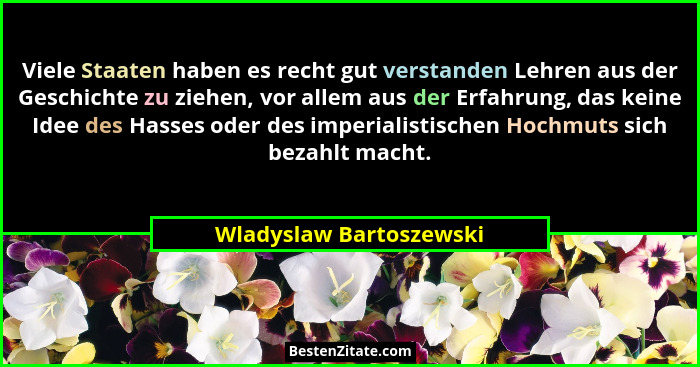 Viele Staaten haben es recht gut verstanden Lehren aus der Geschichte zu ziehen, vor allem aus der Erfahrung, das keine Idee... - Wladyslaw Bartoszewski
