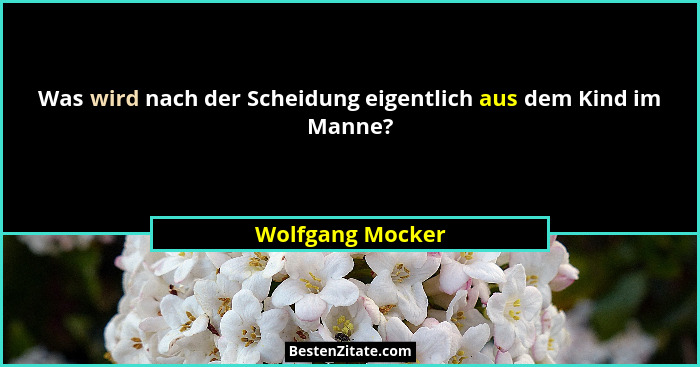 Was wird nach der Scheidung eigentlich aus dem Kind im Manne?... - Wolfgang Mocker