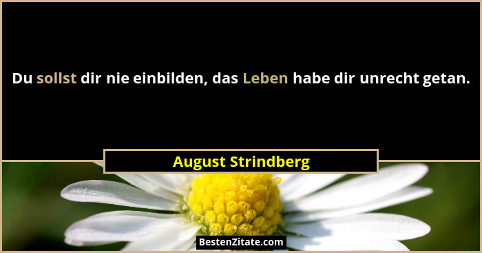 Du sollst dir nie einbilden, das Leben habe dir unrecht getan.... - August Strindberg