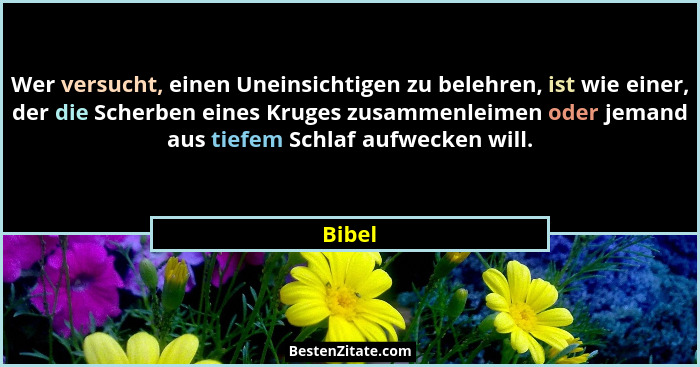 Wer versucht, einen Uneinsichtigen zu belehren, ist wie einer, der die Scherben eines Kruges zusammenleimen oder jemand aus tiefem Schlaf aufw... - Bibel
