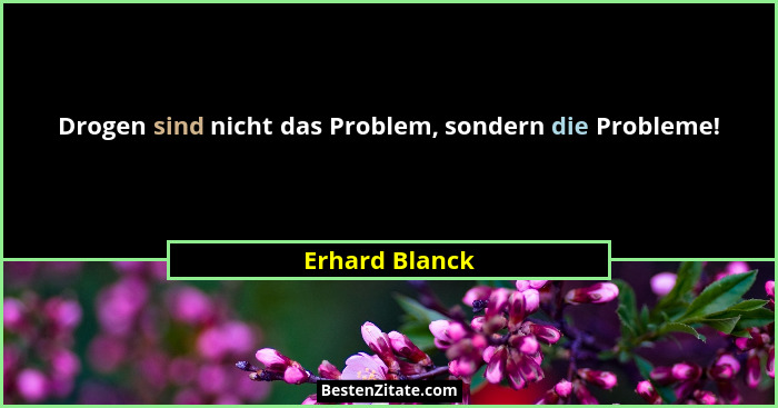 Drogen sind nicht das Problem, sondern die Probleme!... - Erhard Blanck
